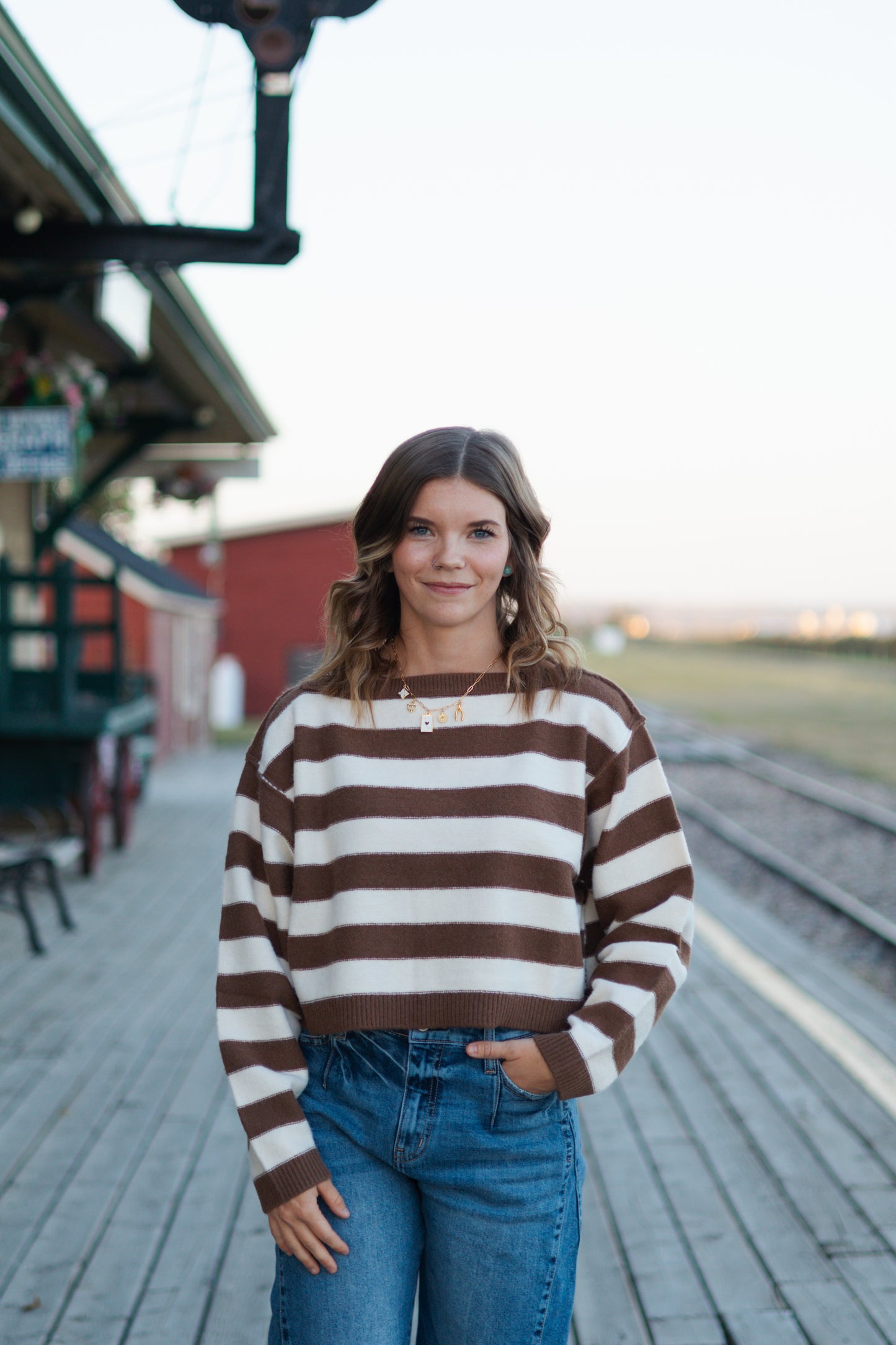Anita Stripe Cropped Sweater