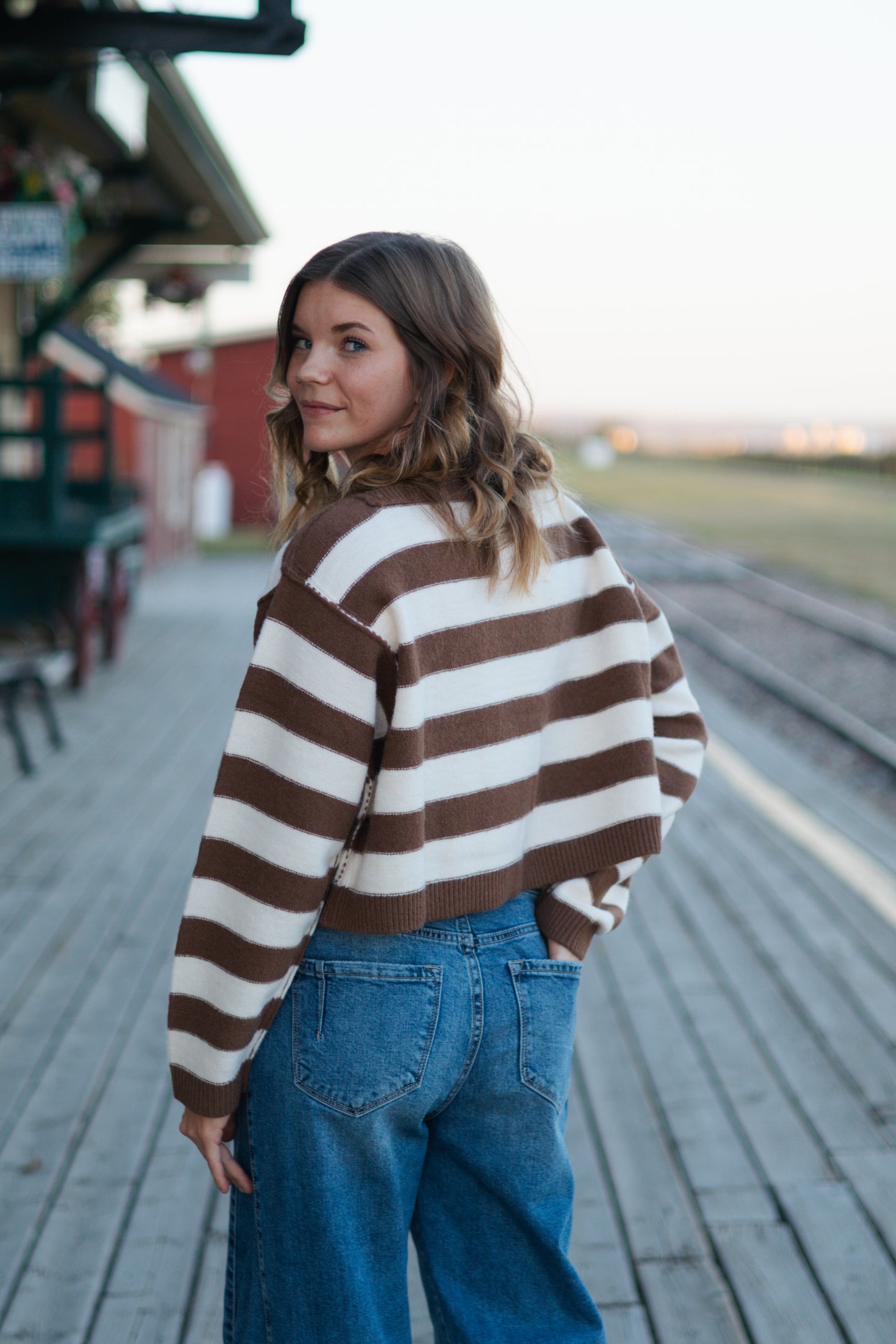 Anita Stripe Cropped Sweater