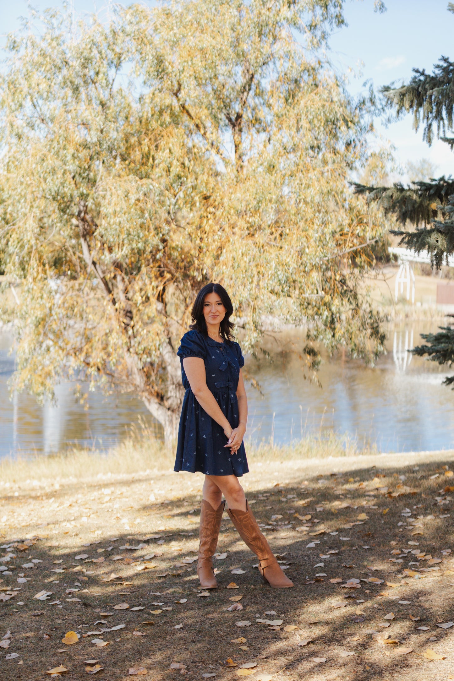 Dana Puff Sleeve Denim Tie Dress