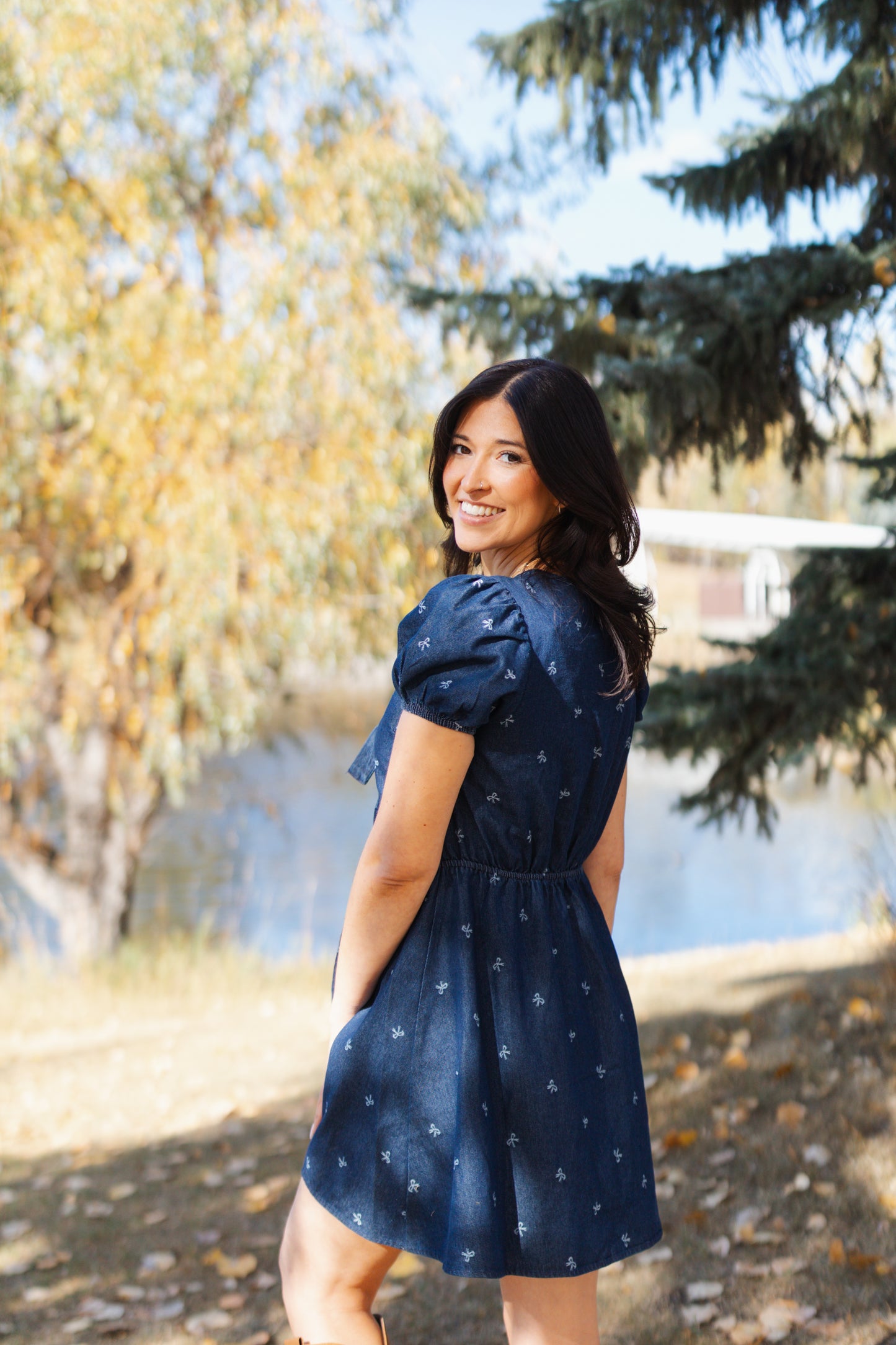Dana Puff Sleeve Denim Tie Dress