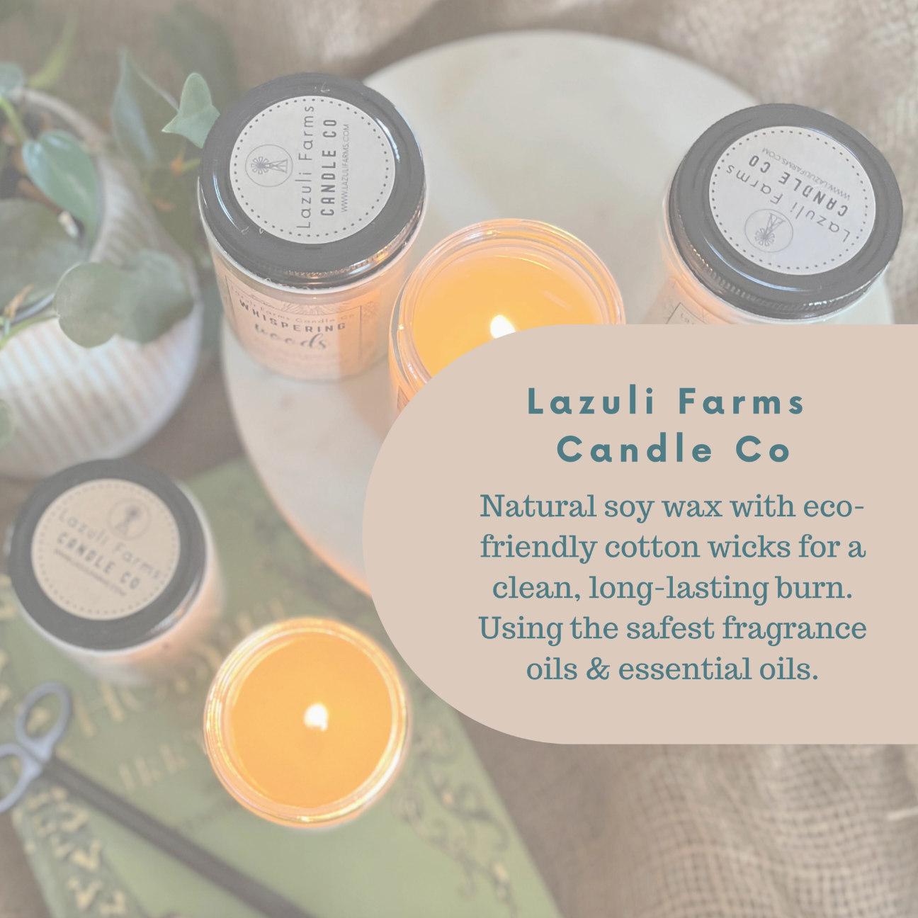 Soy Wax Candle - Citrus Sunshine