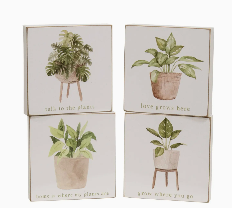 Love Grows here Wooden Block set of 4