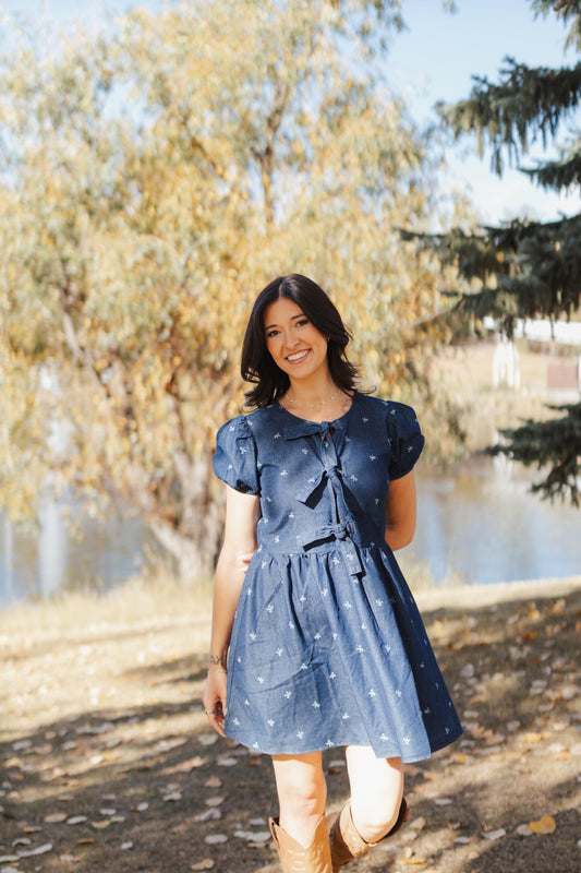 Dana Puff Sleeve Denim Tie Dress