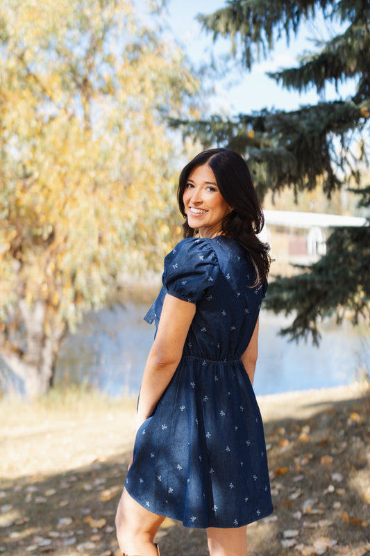 Dana Puff Sleeve Denim Tie Dress