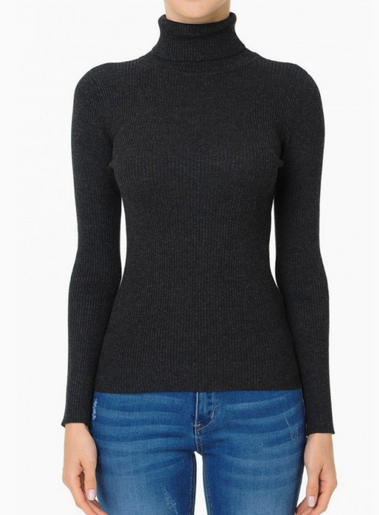 Tanya Turtleneck Long Sleeve Top