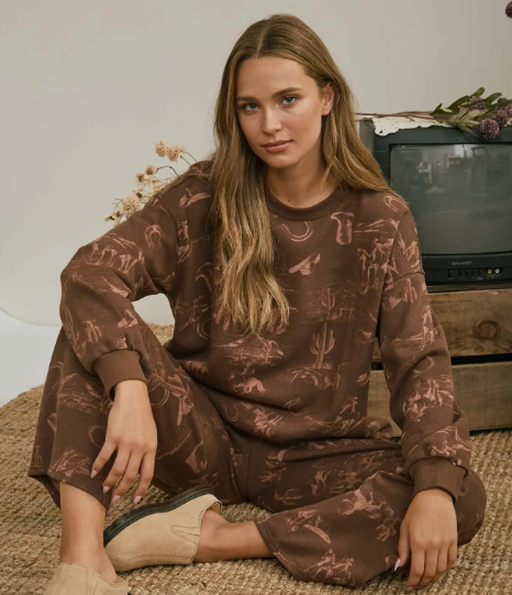 Western Print Crew Neck Long Sleeve Knit Top