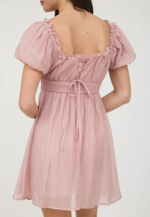 Jenny Puff Sleeve Mini Dress