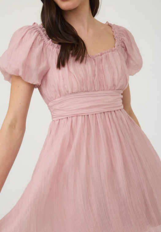 Jenny Puff Sleeve Mini Dress