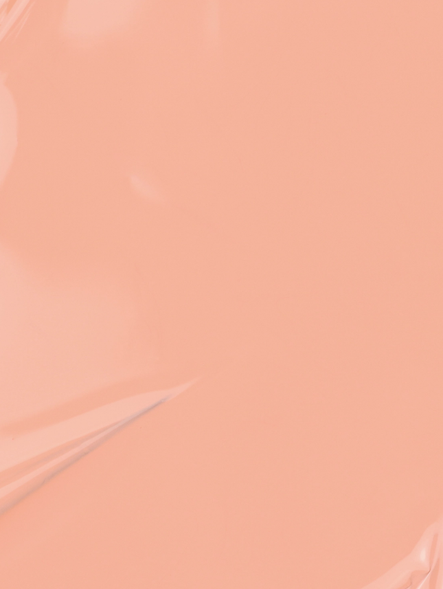 Vegan & 21-free Nail Polish's